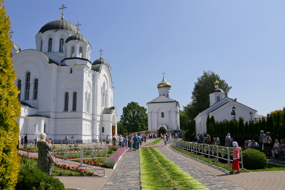в текст